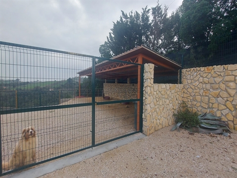 Moradia para Restaurar T2